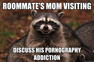 Evil Plotting Raccoon