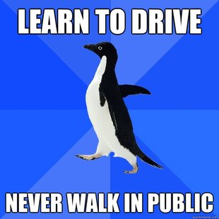 Socially Awkward Penguin