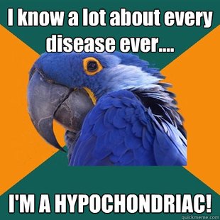 Paranoid Parrot