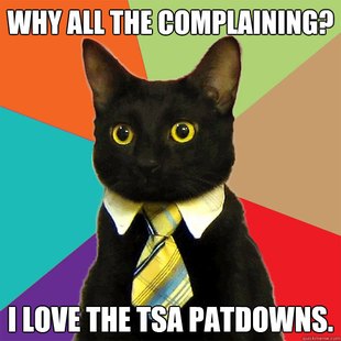 Business Cat