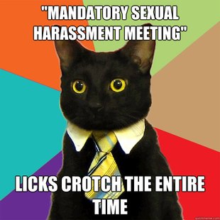 Business Cat