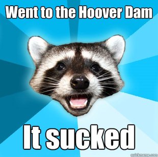 Lame Pun Coon