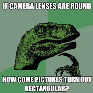 Philosoraptor