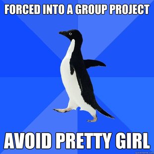 Socially Awkward Penguin
