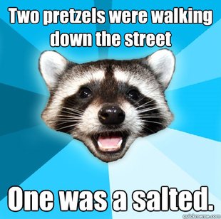 Lame Pun Coon