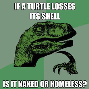 Philosoraptor