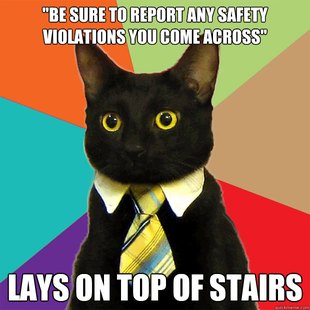 Business Cat