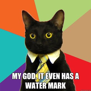 Business Cat