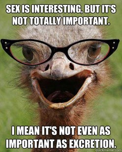 Judgmental Bookseller Ostrich