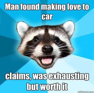 Lame Pun Coon