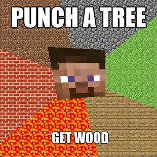 Minecraft