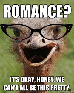 Judgmental Bookseller Ostrich