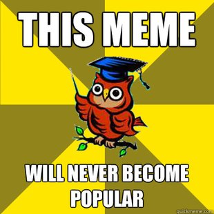 Observational Owl