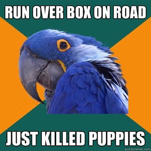Paranoid Parrot
