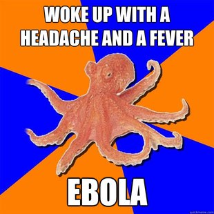 Online Diagnosis Octopus