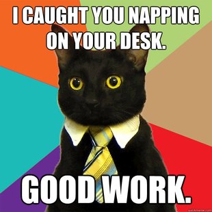 Business Cat
