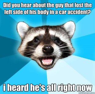 Lame Pun Coon