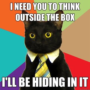 Business Cat