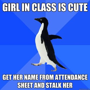 Socially Awkward Penguin