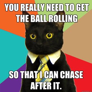 Business Cat