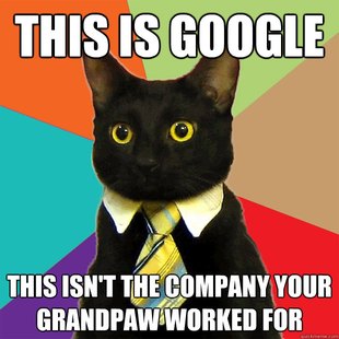 Business Cat