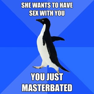 Socially Awkward Penguin
