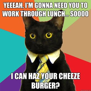 Business Cat