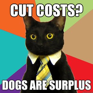 Business Cat