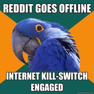 Paranoid Parrot