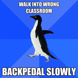 Socially Awkward Penguin