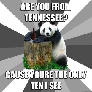 Pickup-Line Panda