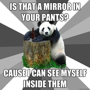 Pickup-Line Panda