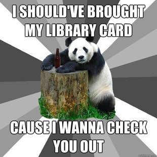 Pickup-Line Panda