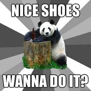 Pickup-Line Panda