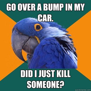 Paranoid Parrot
