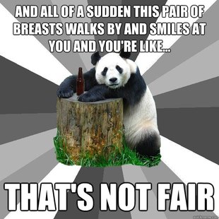 Pickup-Line Panda