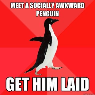 Socially Awesome Penguin