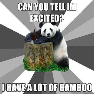 Pickup-Line Panda