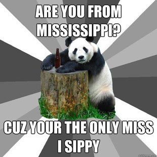 Pickup-Line Panda
