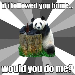 Pickup-Line Panda
