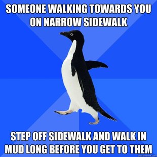Socially Awkward Penguin