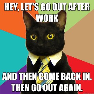 Business Cat