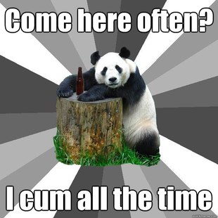 Pickup-Line Panda