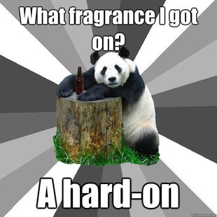 Pickup-Line Panda