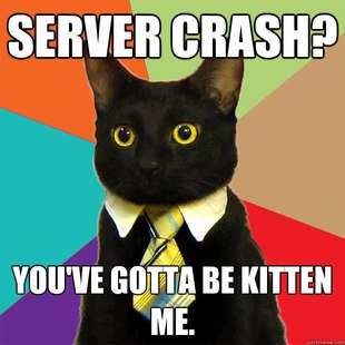 Business Cat