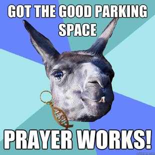 Christian Mama Llama