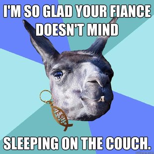 Christian Mama Llama
