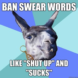 Christian Mama Llama