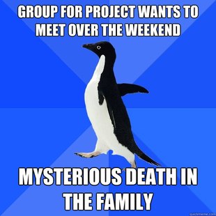 Socially Awkward Penguin