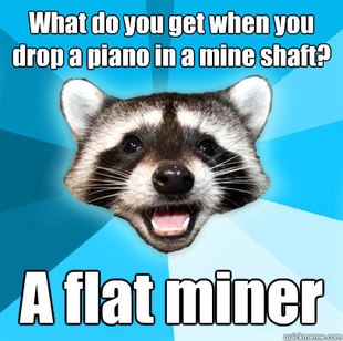Lame Pun Coon